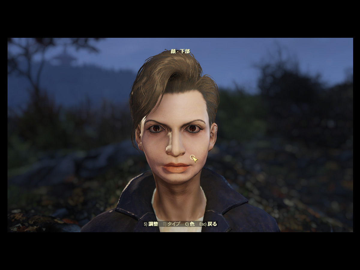 Fallout76 のキャラメイク キャラクターの顔の変更方法 Fallout76 プレイ記 2 日々綴