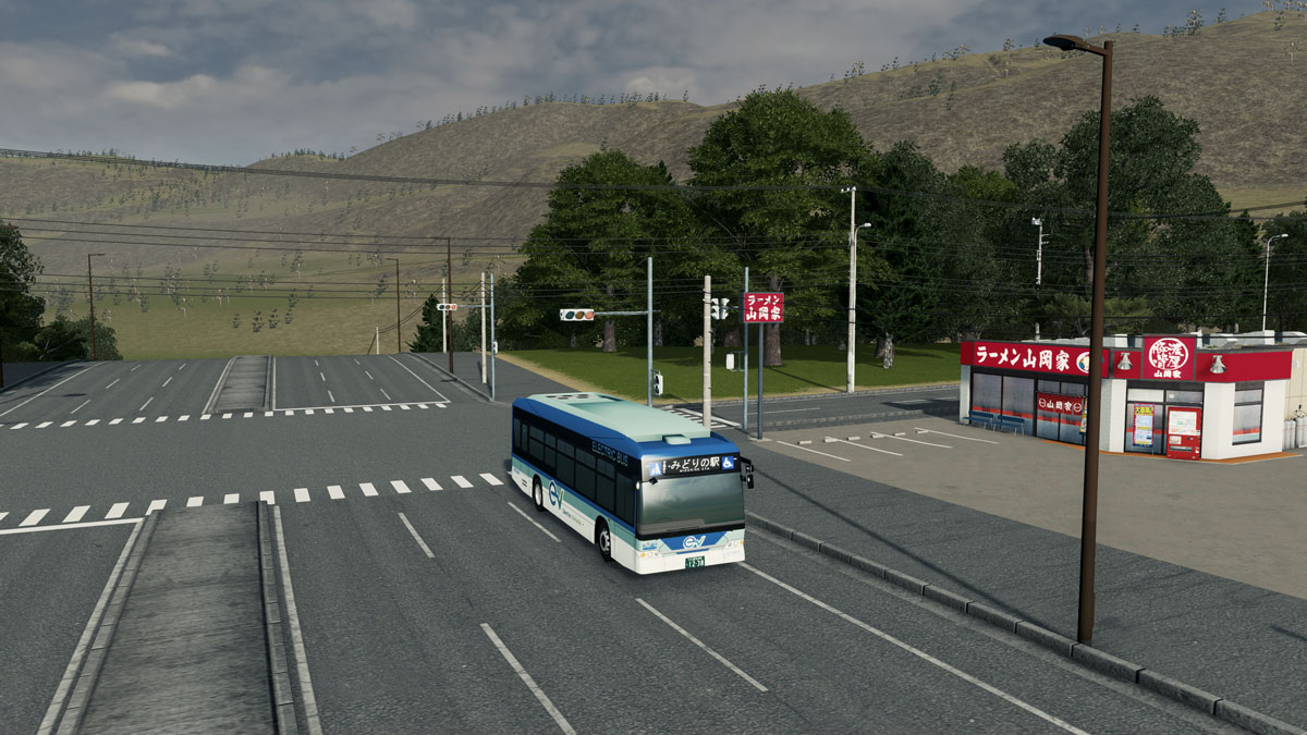 Cities_Skylines-4494